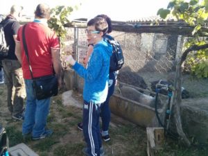 img-20170513-wa0019