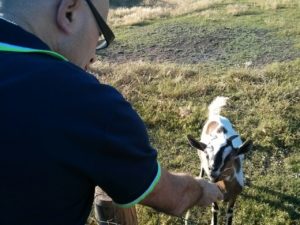 img-20170513-wa0020