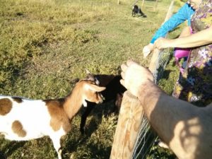 img-20170513-wa0028