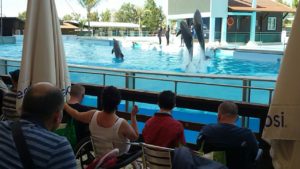 img-20170514-wa0015