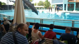 img-20170514-wa0017