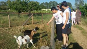 img-20170527-wa0016