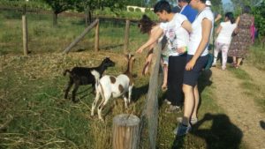 img-20170527-wa0018