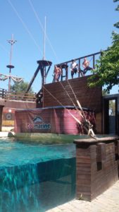 img-20170528-wa0008