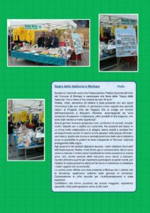 notiziario-vitalbaultimaed2017a-2