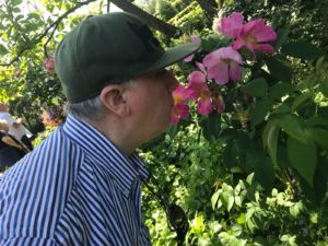 img-20180520-wa0000