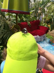 img-20180610-wa0059