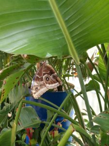 img-20180610-wa0062