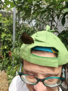 img-20180610-wa0064