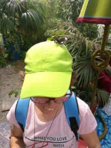 img-20180610-wa0065